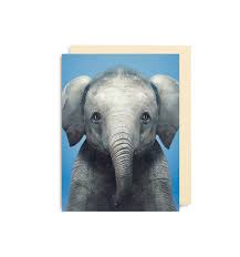 MINI Card - Elephant