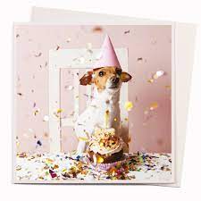 Card - Little Dog Party