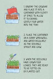 The Wild Strawerry Growbar