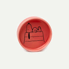 Peanuts Pin Dish - Home