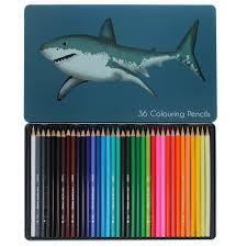 36 Colouring Pencils in a Tin - Sharks