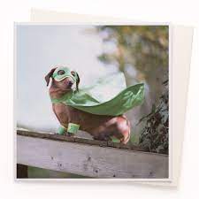 Card - Super Dog