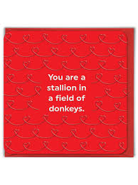 Romantic Card - Stallion in a Field of Donkeys