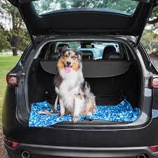 Dock & Bay Large Dog Towel - A Dogs Dinner