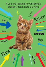 Funny Christmas Card - Xmas Kitten