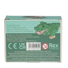 Build Your Own Model Brick Kit - Tyrannosaurus Rex