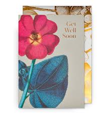 Kew Gardens Card - Get Well Soon Hollyhock
