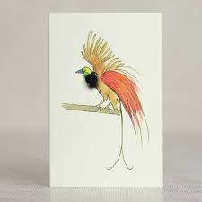 Papersheep Mini Card - Bird of Paradise