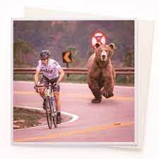 Card - Bear Chasing Cyclist