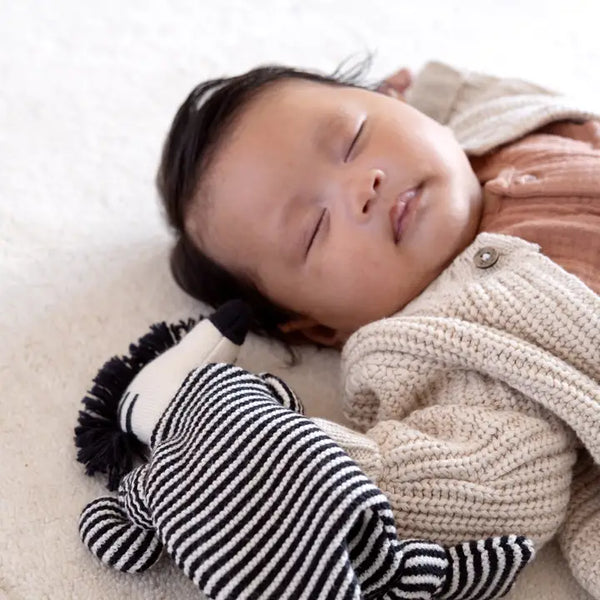 Cotton Knit Baby Comforter Cuddle Cloth: Zebra