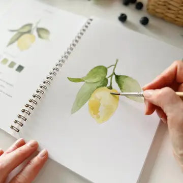 Fruit Watercolour Workbook