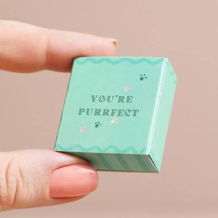 Tiny Matchbox Ceramic Token - Cat