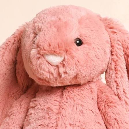 Jellycat Bashful Sorrel Bunny