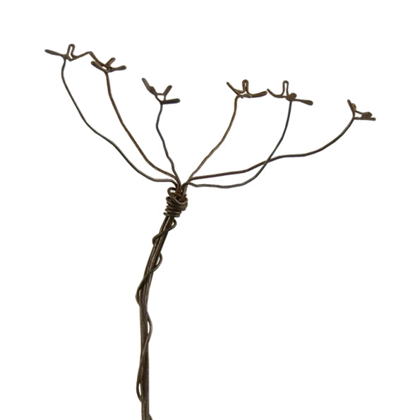 Wire Sprig Cow Parsley