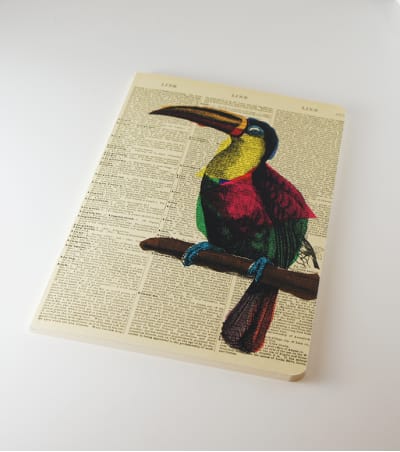 Journal - Toucan