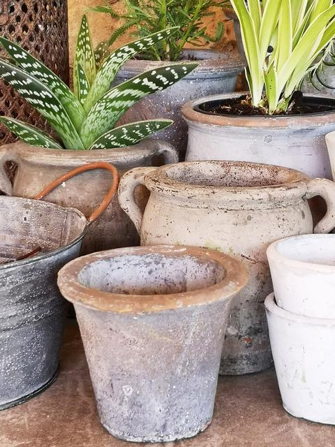 Vintage Style Cactus Pot