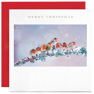 Susan O'Hanlon Christmas Card - Merry Christmas Red Robins