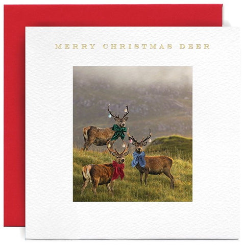 Susan O'Hanlon Christmas Card - Stags & Scarves