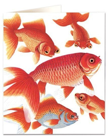 NHM Card - Goldfish