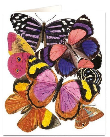 NHM Card - Butterflies