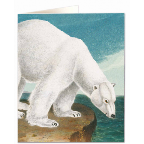 NHM Card - Polar Bear