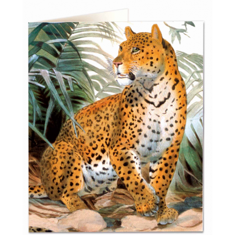 NHM Card - Leopard