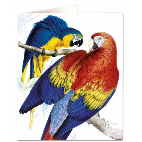 NHM Card - Parrots