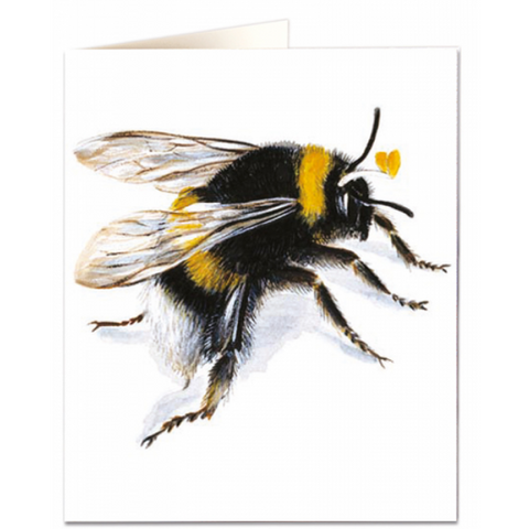 NHM Card - Bee