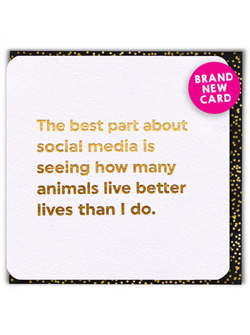 Card - Social Media Animals