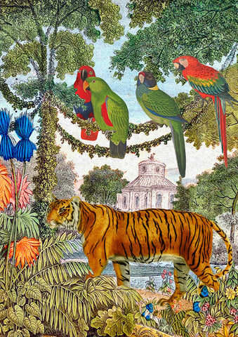 Madame Treacle Card - The Tiger & Parrots