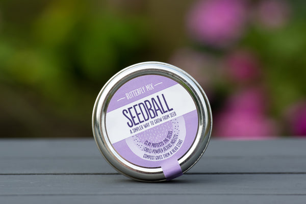 Seedball - Butterfly