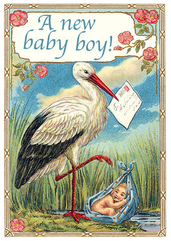 Madame Treacle - New Baby Boy