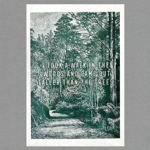 Walk in the Woods A3 Print