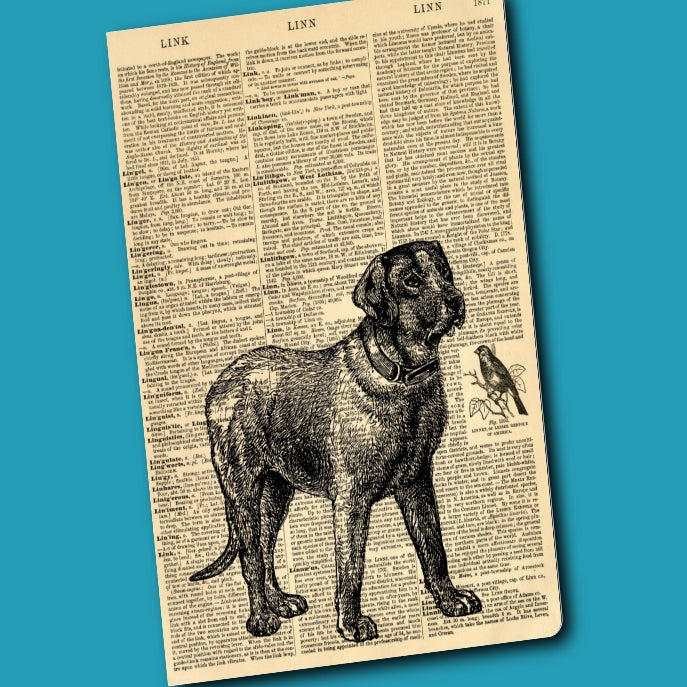 Journal - Dog Dictionary