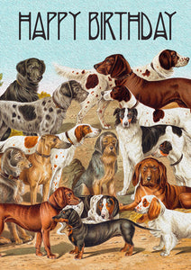 Madame Treacle Card - Happy Birthday Dogs