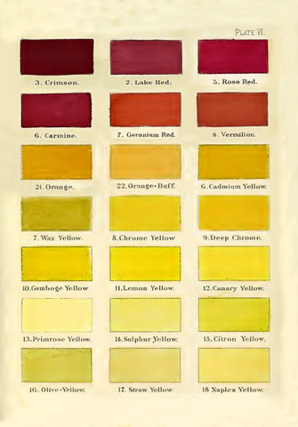 Madame Treacle Card - Paint Chart