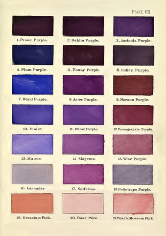 Madame Treacle Card - Paint Chart
