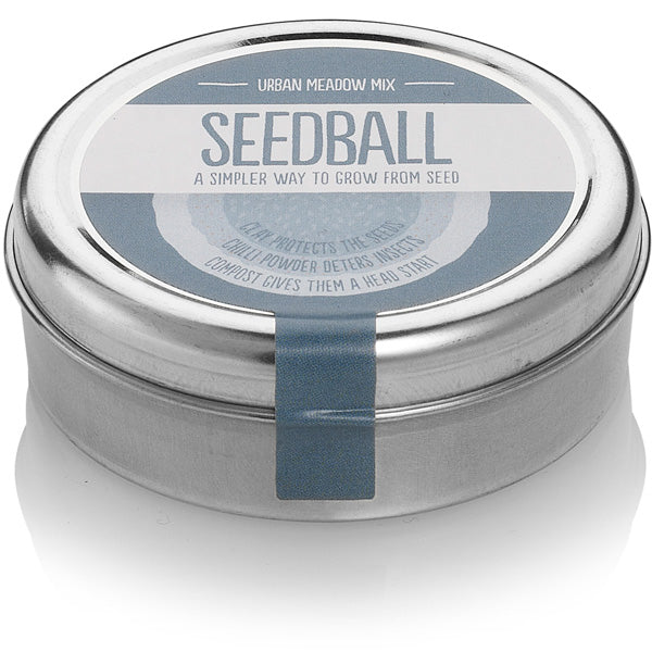 Seedball - Urban Meadow