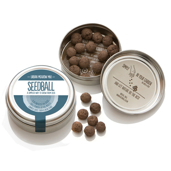 Seedball - Urban Meadow